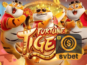 Guia install APK SVBET BR