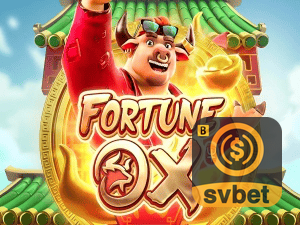 SVBET login — painel de entrada no app oficial