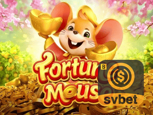 SVBET login — configurações de segurança e proteção de conta